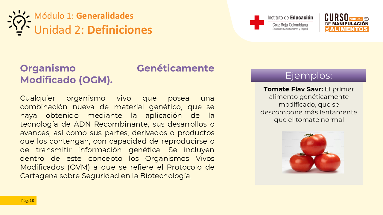 Diapositiva 11