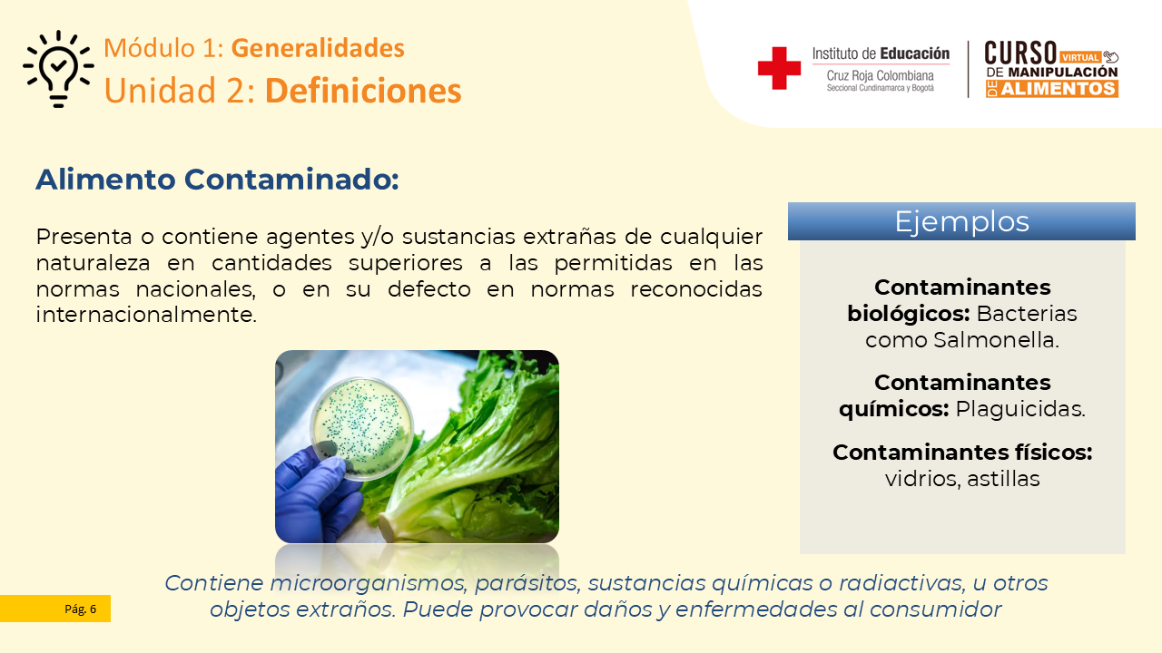 Diapositiva 7