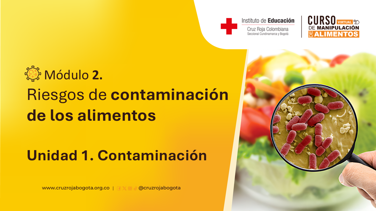 Portada del curso