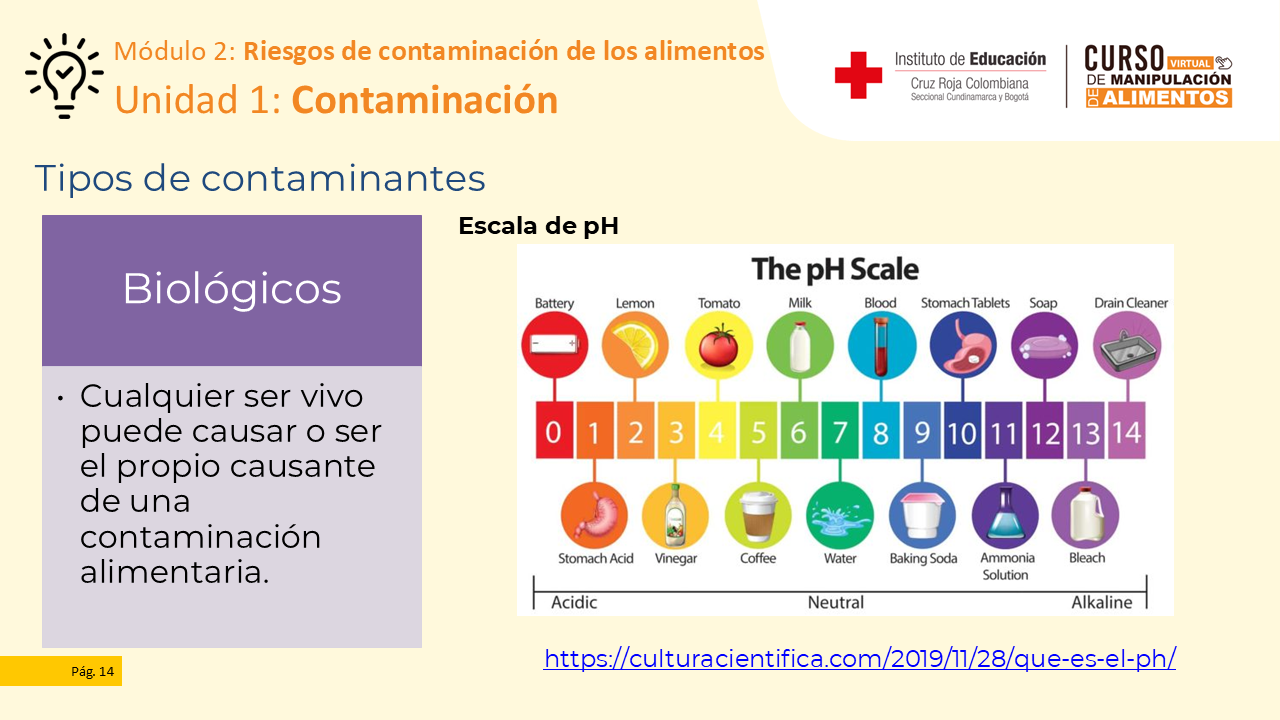 Diapositiva 15