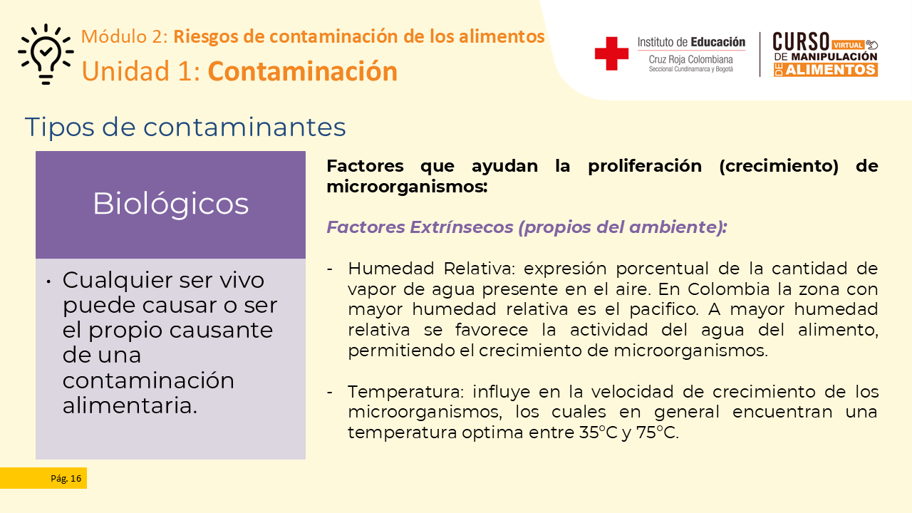 Diapositiva 17
