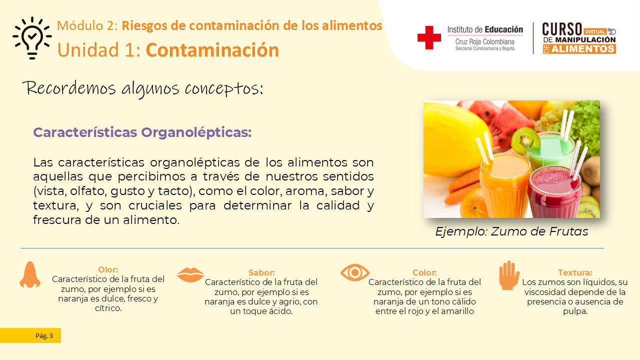 Diapositiva 4