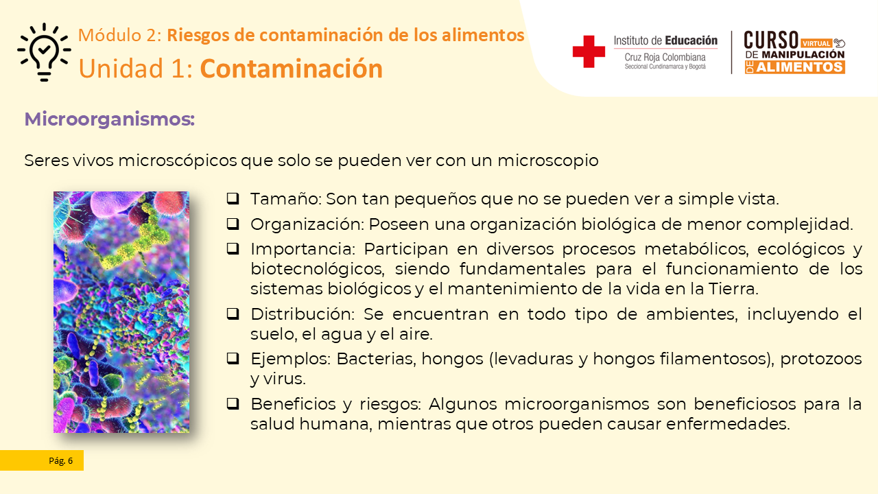 Diapositiva 7