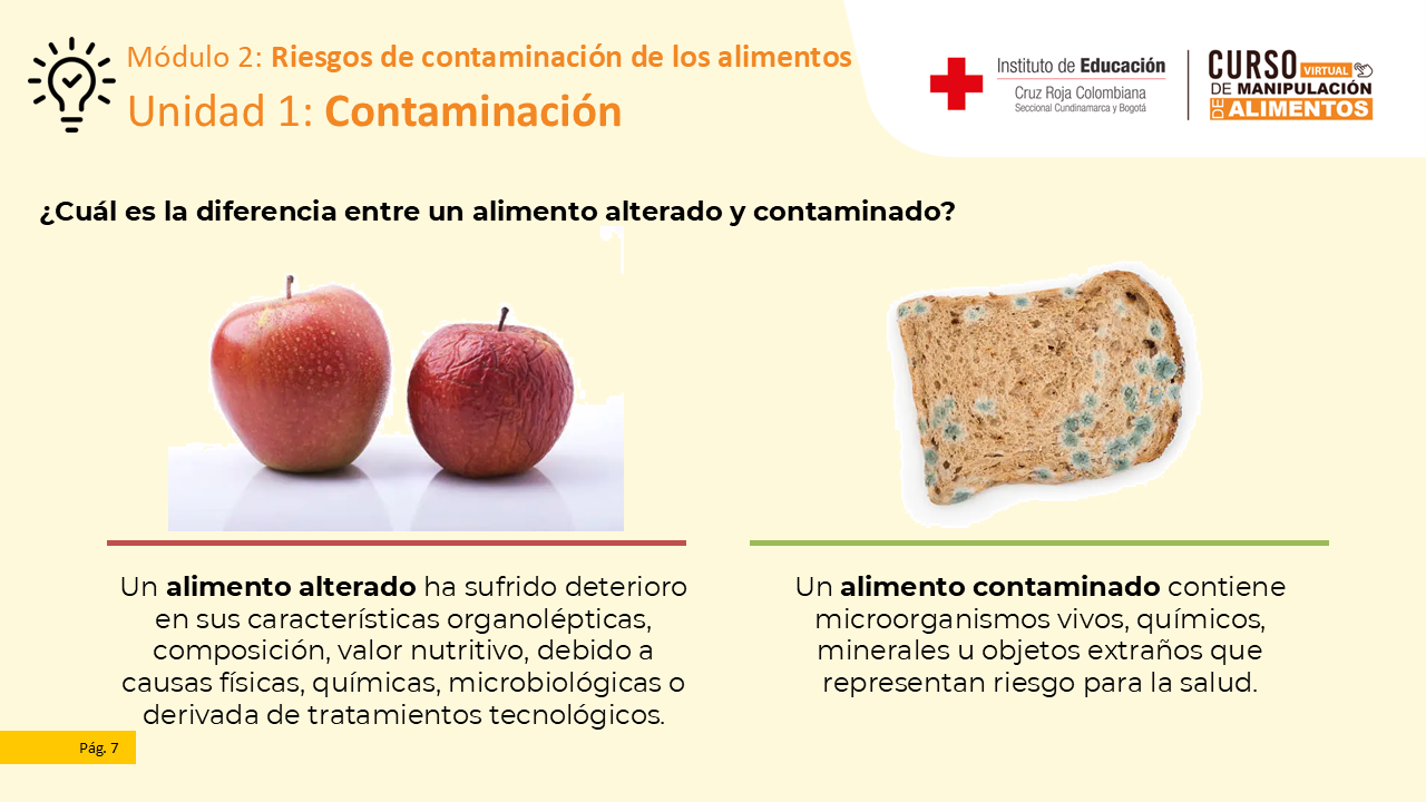 Diapositiva 8