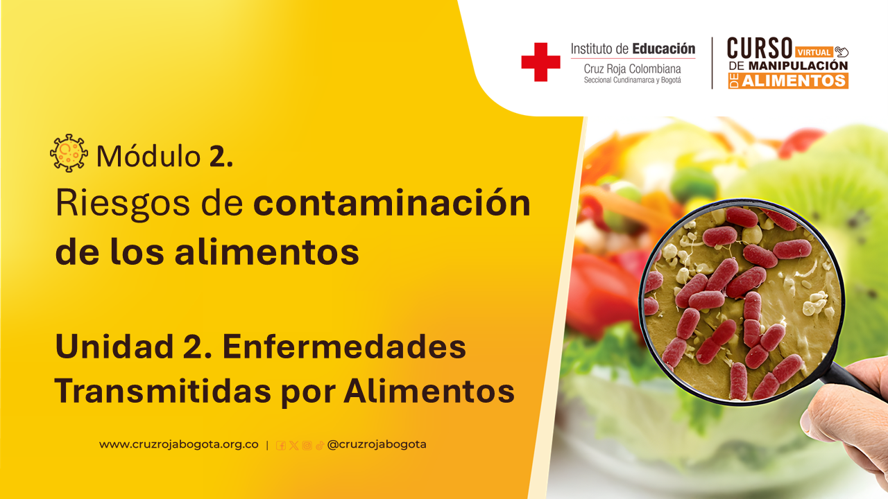 Portada del curso