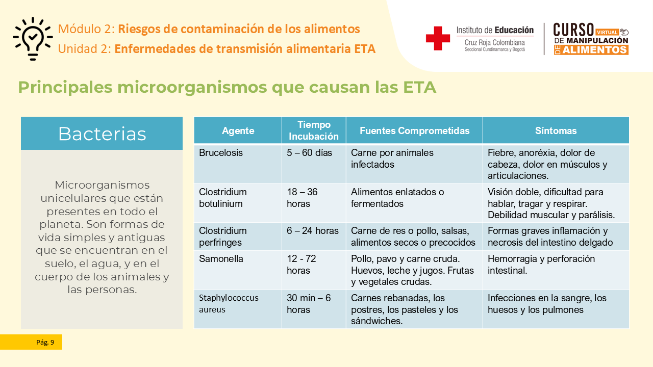 Diapositiva 10