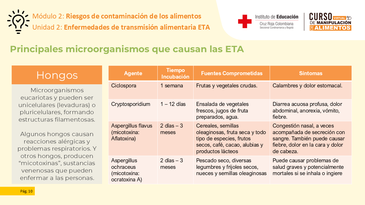 Diapositiva 11