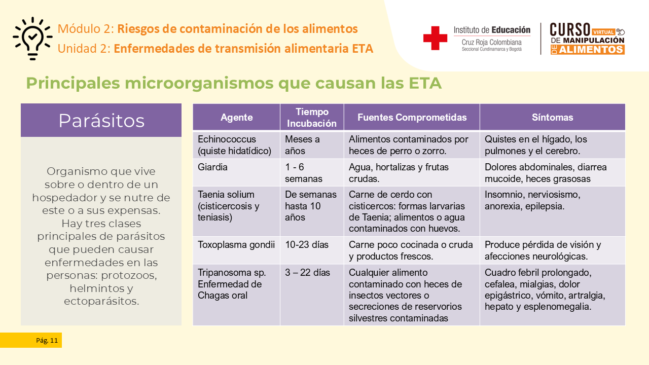 Diapositiva 12