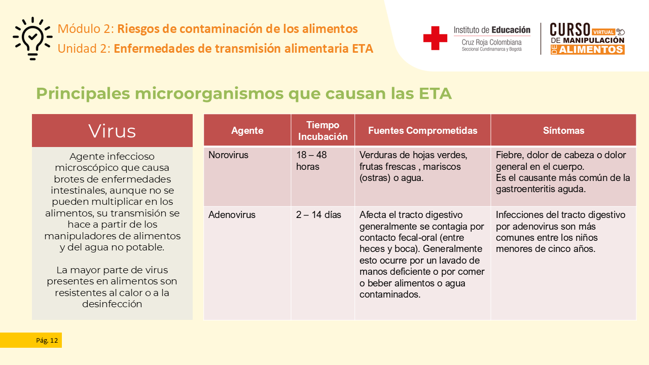 Diapositiva 13