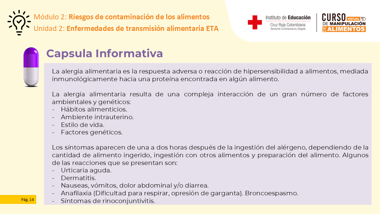 Diapositiva 15