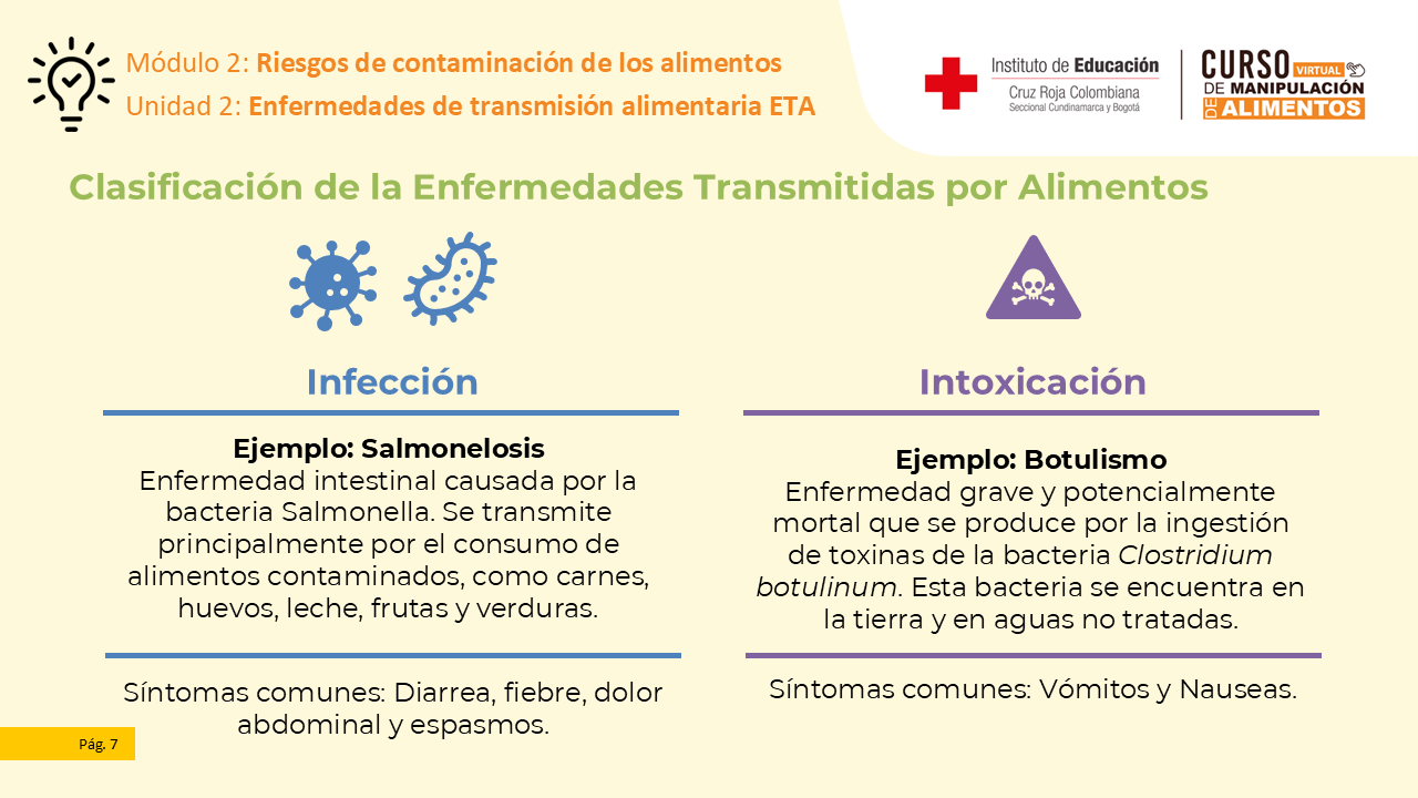 Diapositiva 8