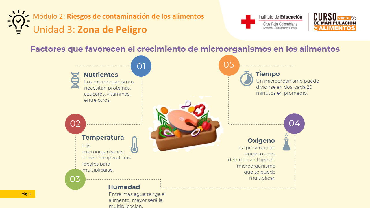 Diapositiva 4
