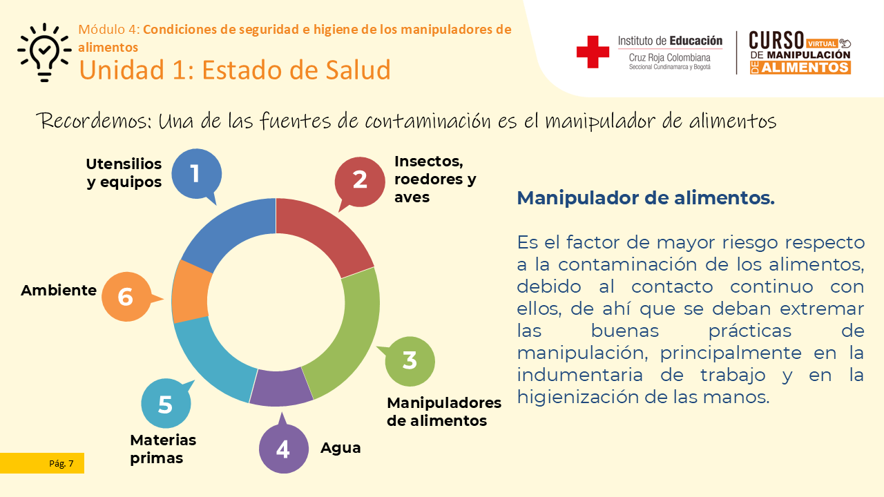 Diapositiva 8