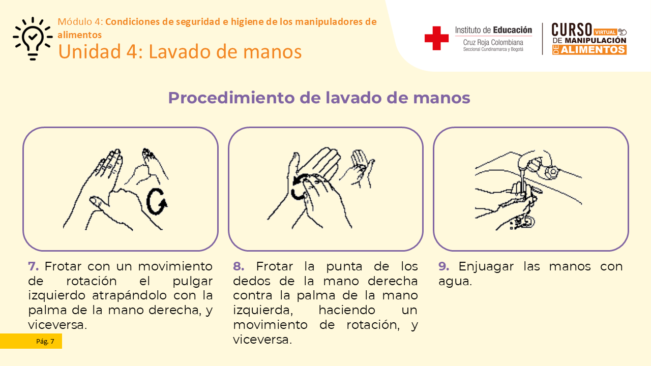 Diapositiva 8