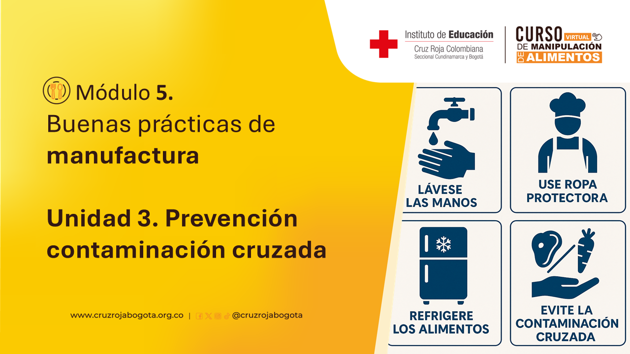 Portada del curso