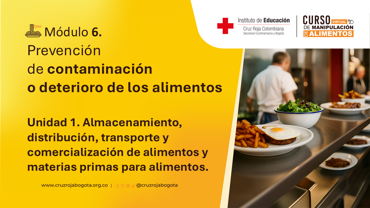 Portada del curso