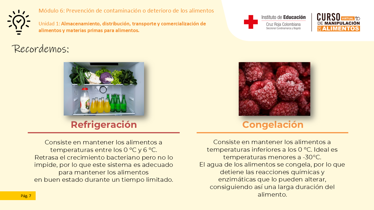 Diapositiva 8