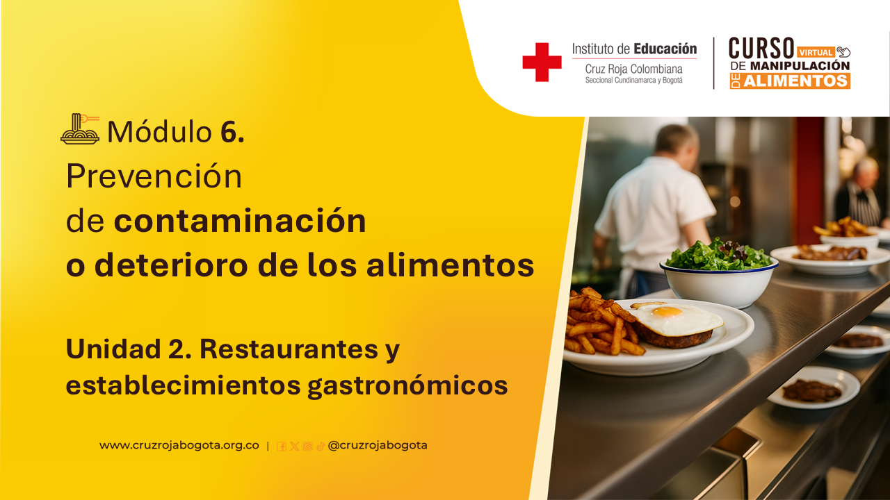 Portada del curso